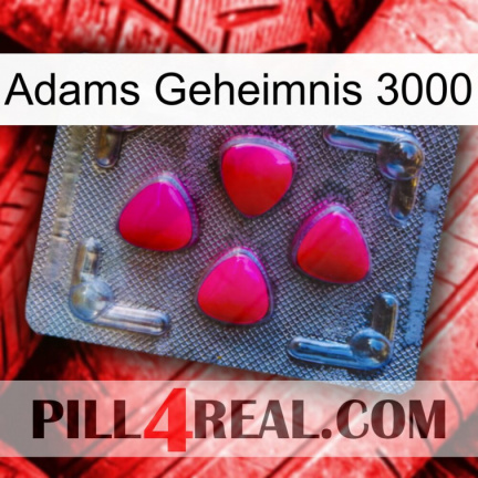 Adams Secret 3000 13